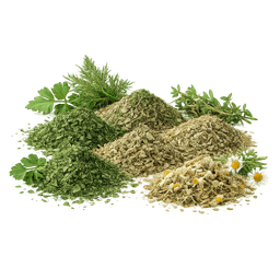 Сушеные травы