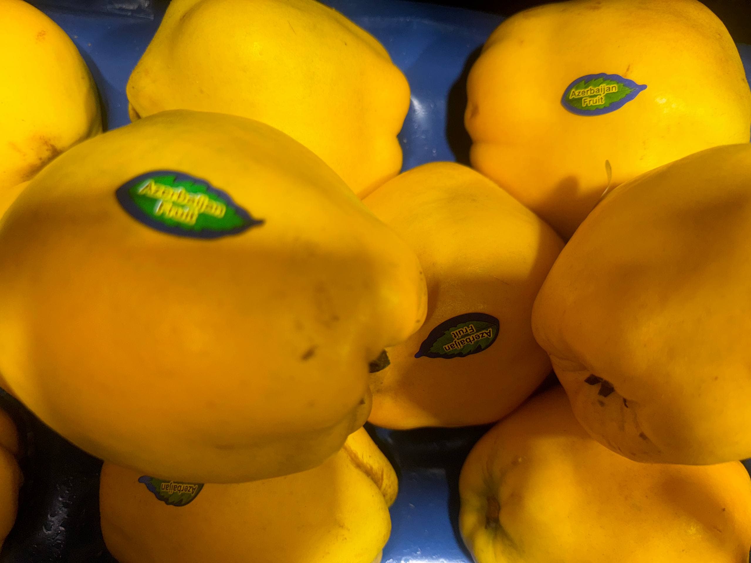 Айва Турция 2