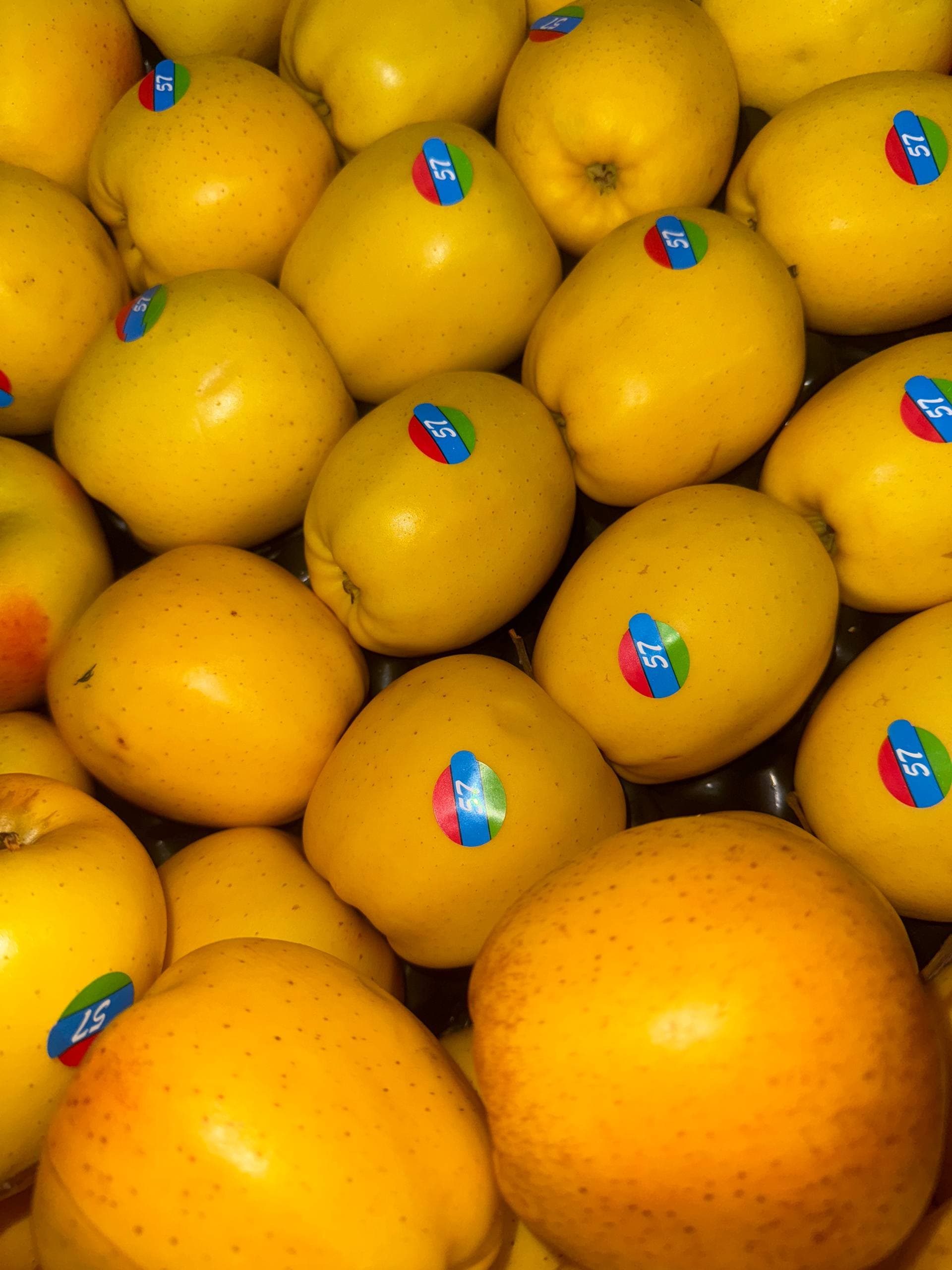 Яблоки Голден 2