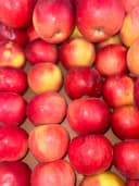 Яблоки «Айдаред» 2