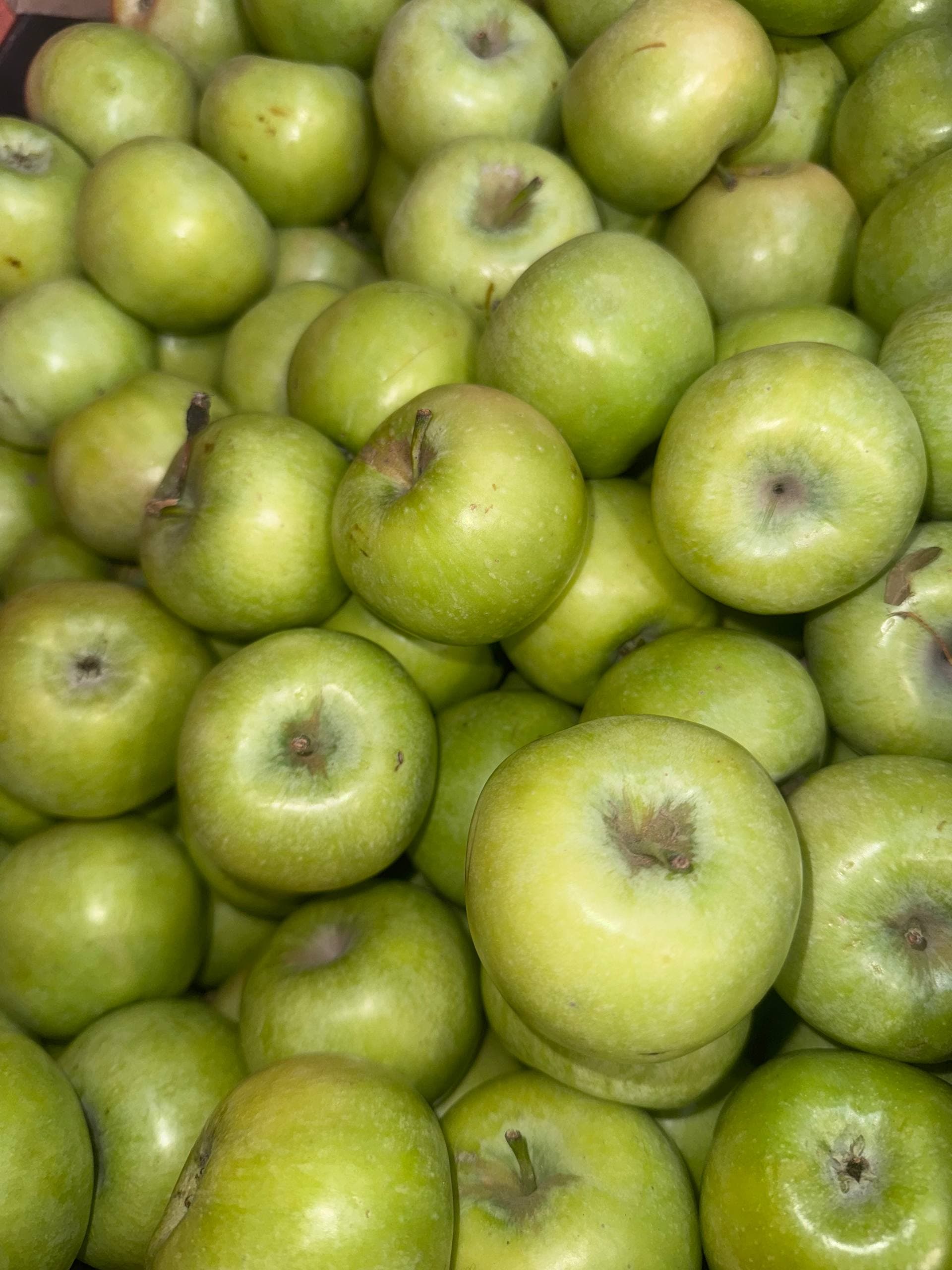 Яблоки Семеренко 2