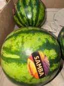 Арбуз Мини 2