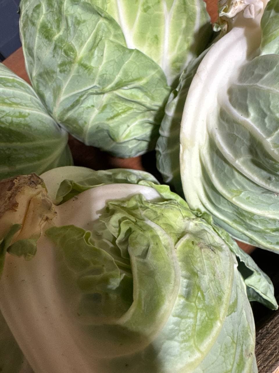 Капуста Молодая 2