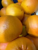 Грейпфрут ЮАР 2