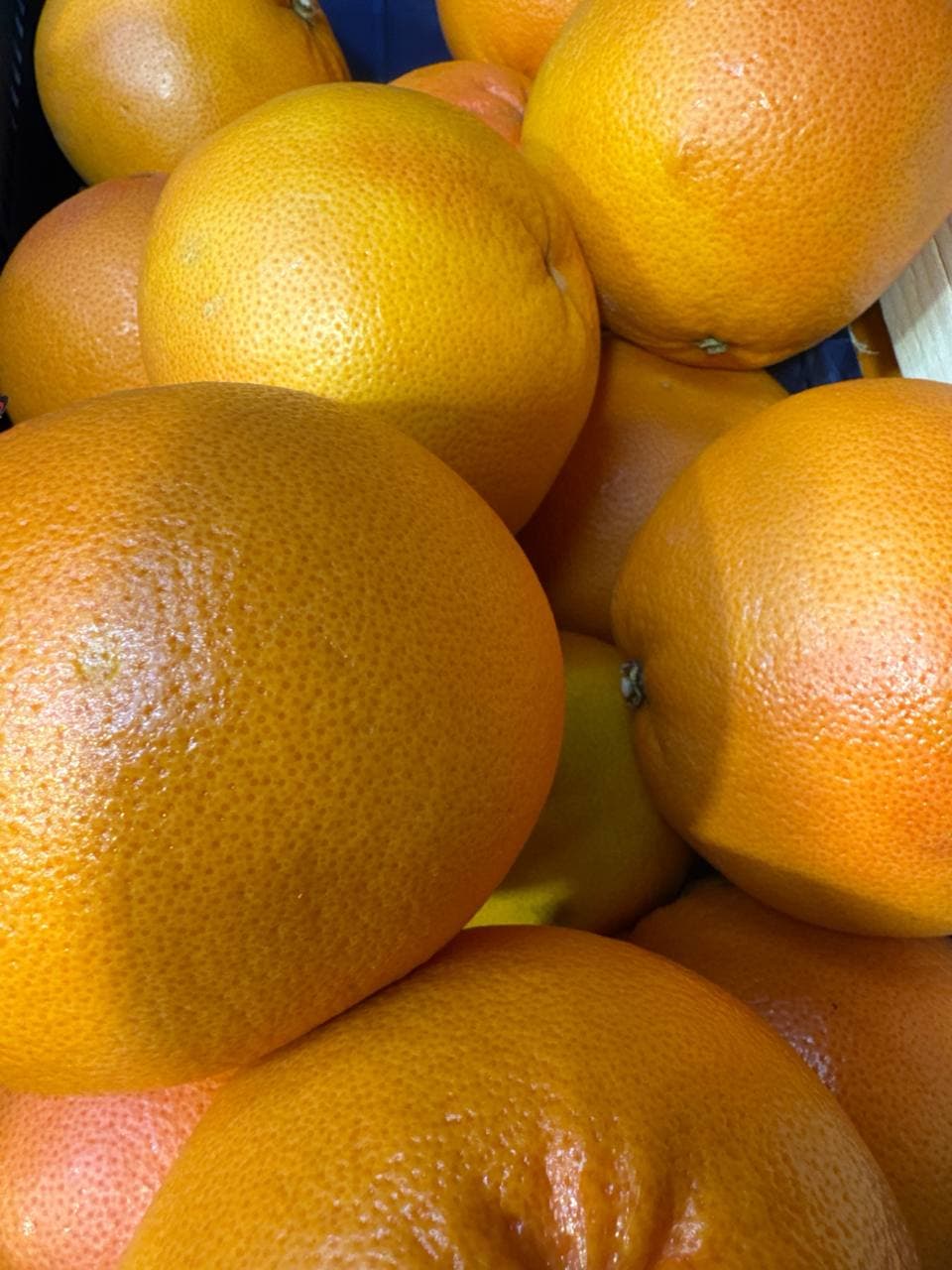 Грейпфрут ЮАР 2