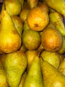 Груша Конференц 2