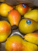 Груша Форель 2