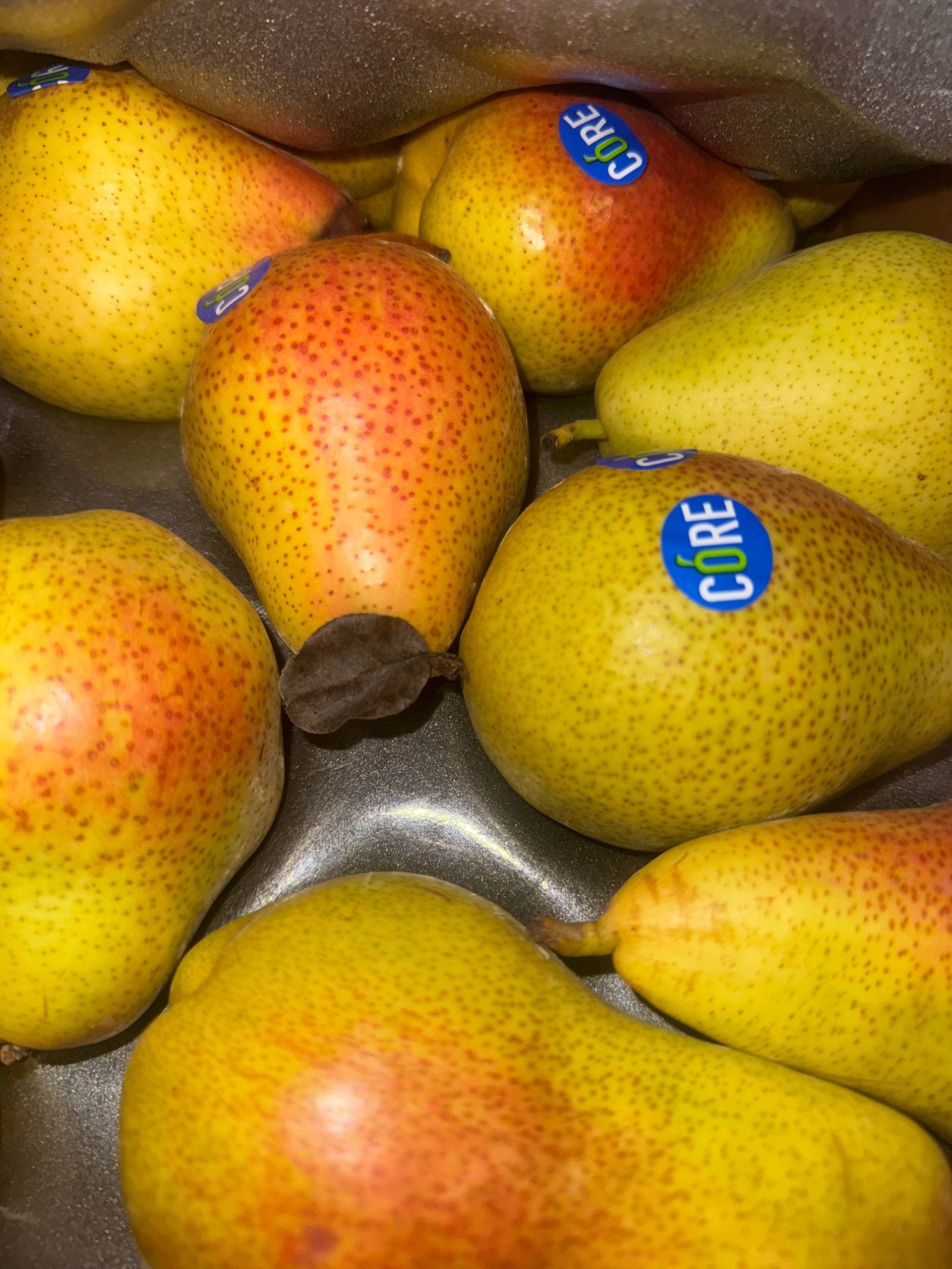 Груша Форель 2