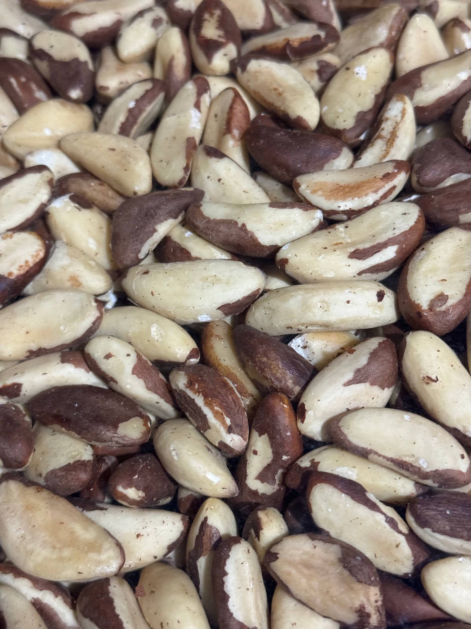 Бразильский орех 2