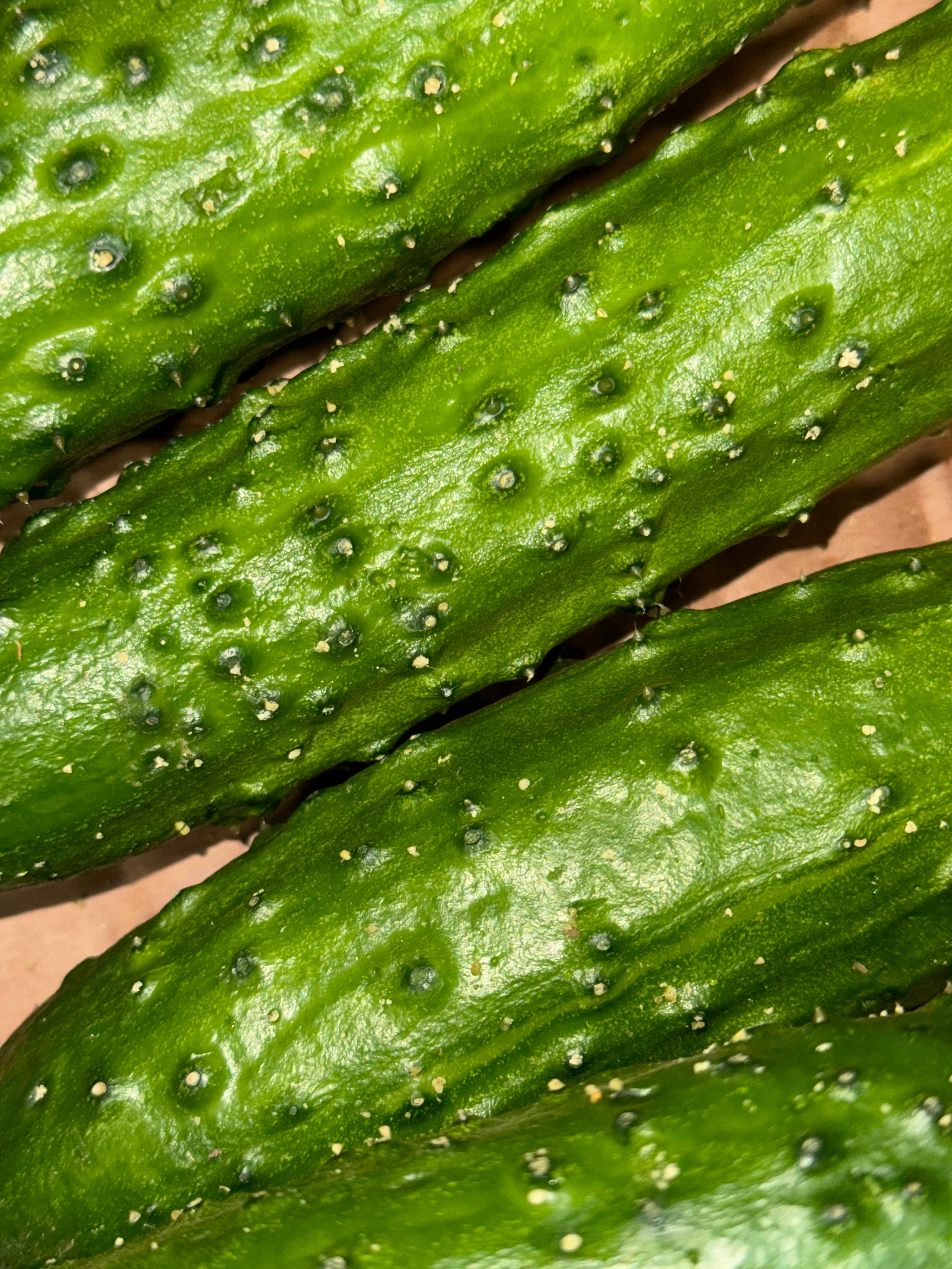 Огурцы Зозуля  2