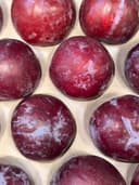 Слива розовая 2