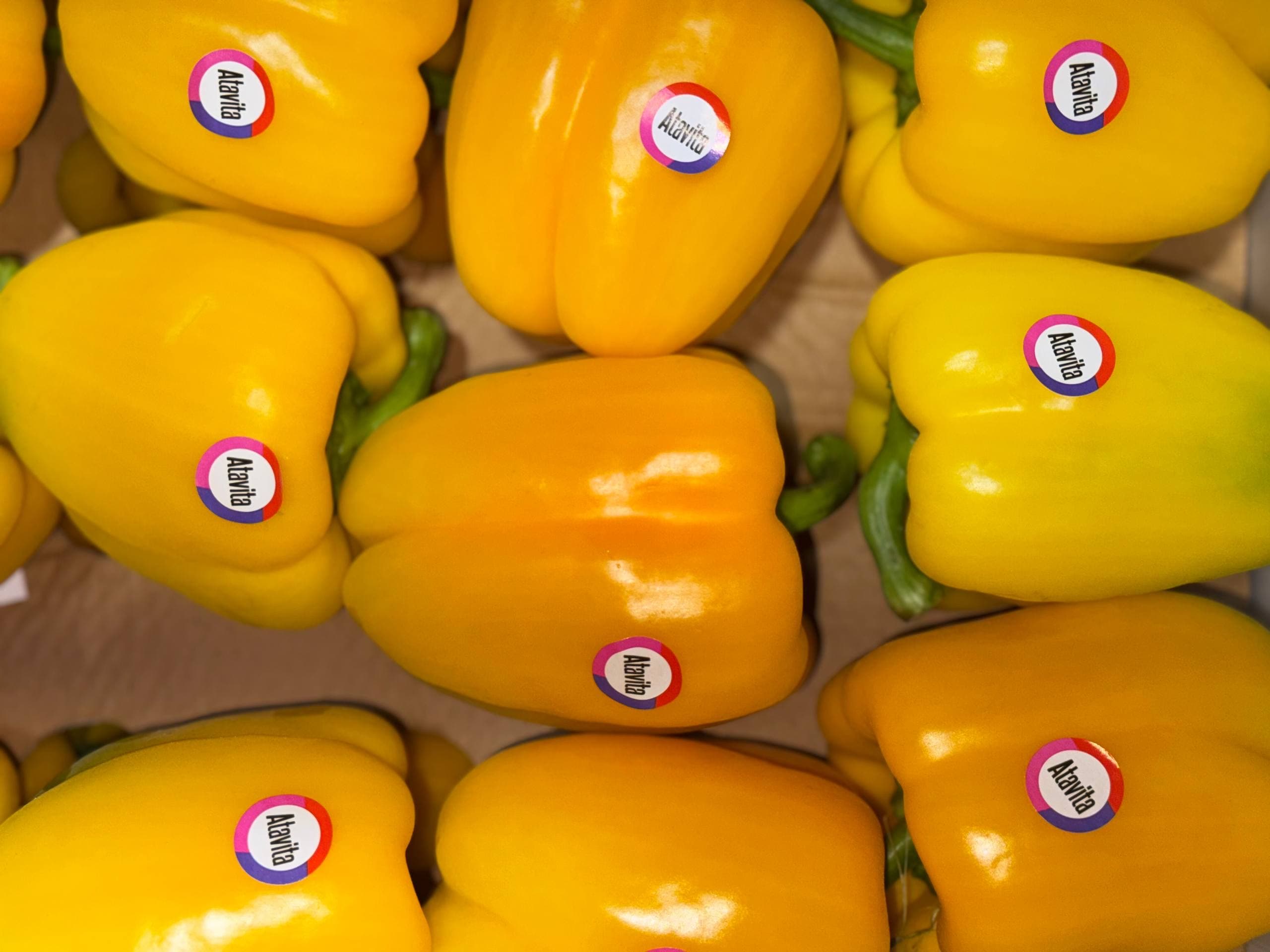 Перец желтый Болгарский 2