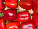 Перец красный  Болгарский 2