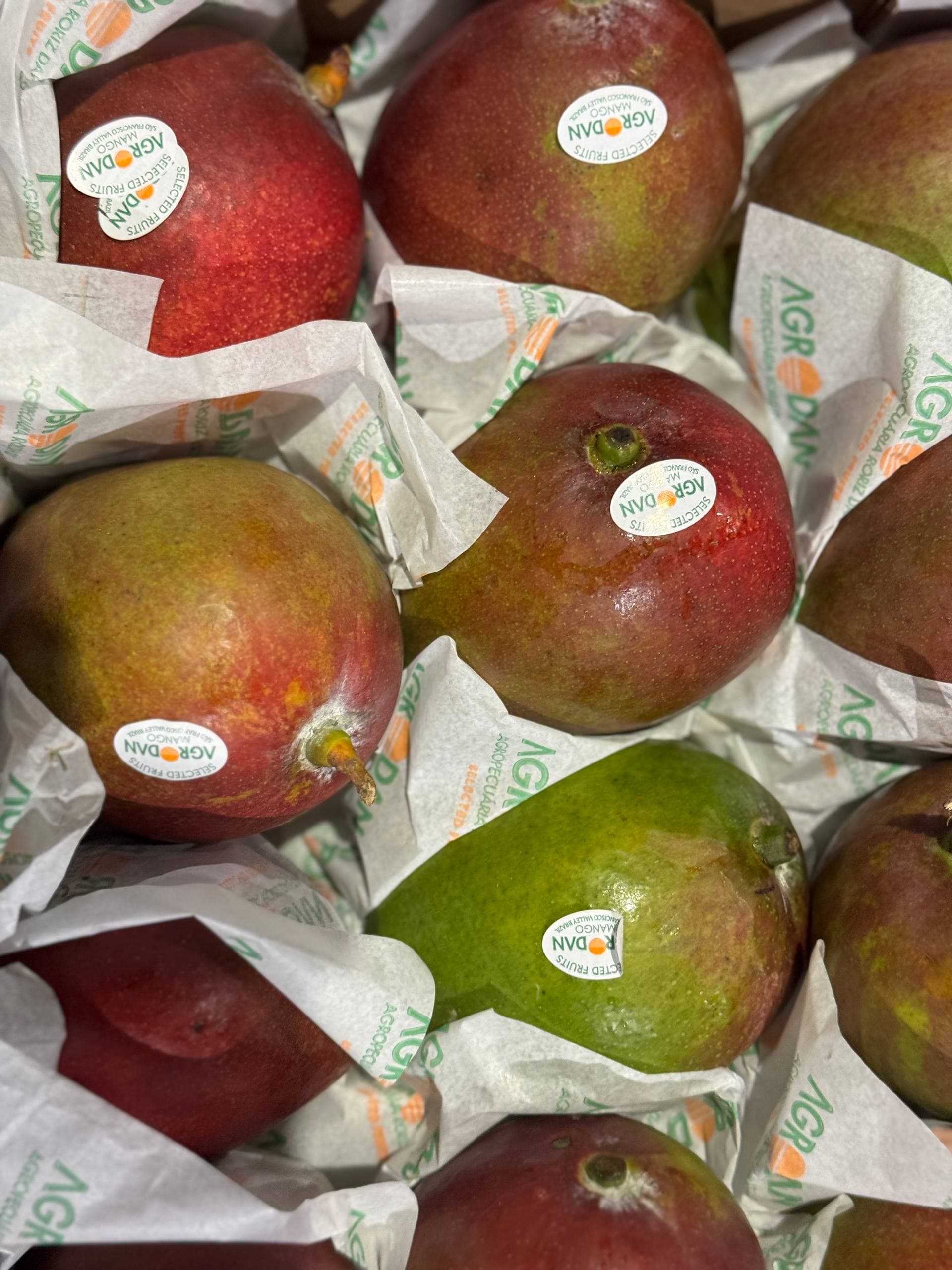 Манго Кент ящик 1