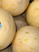 Дыня «Молочная» 2