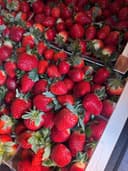 Клубника ящик 2