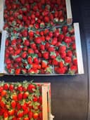 Клубника ящик 3