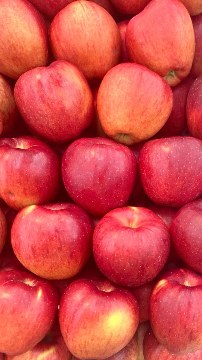 Яблоки Фуджи 1