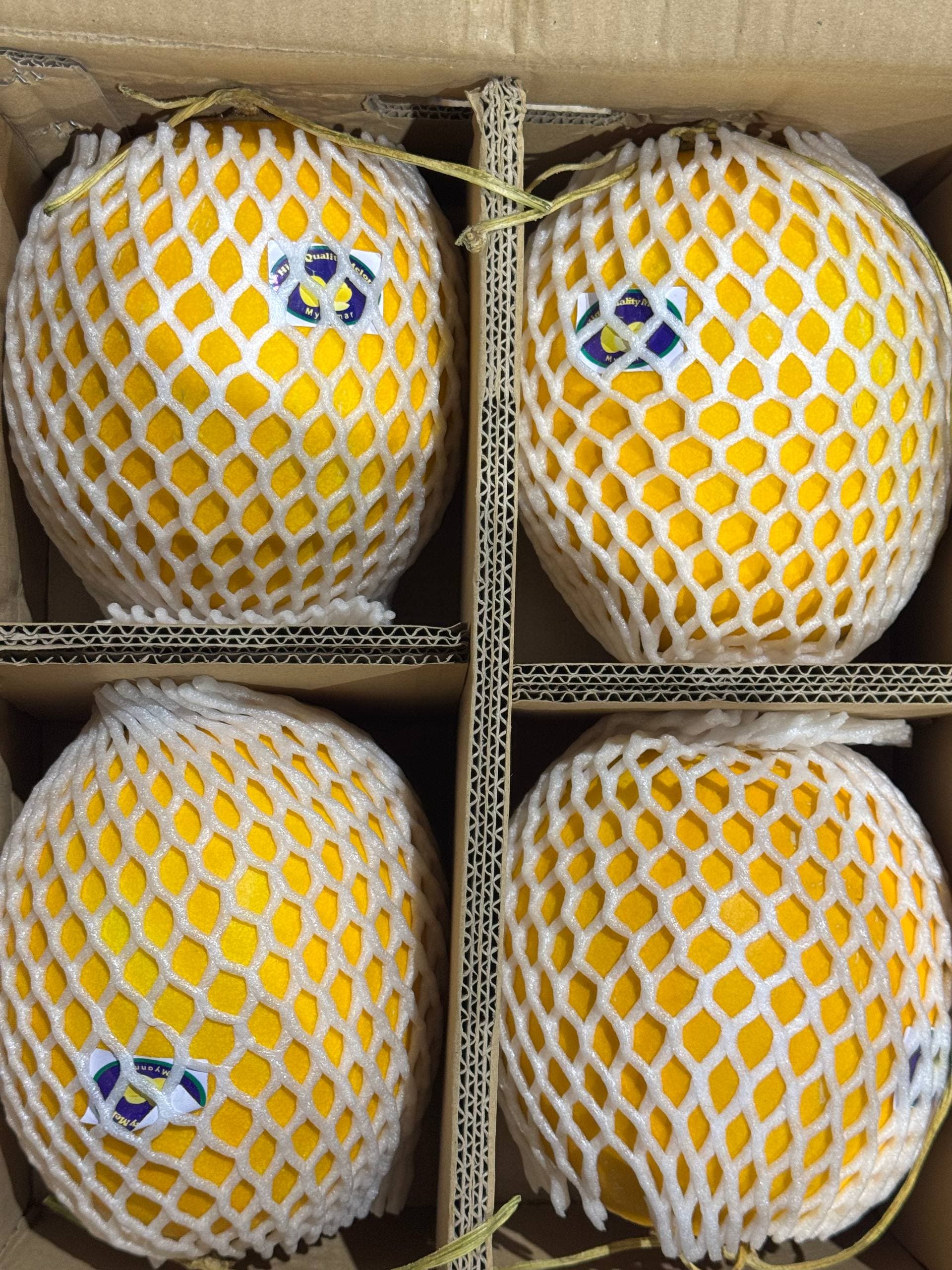 Дыня жёлтая  1