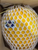 Дыня жёлтая  2