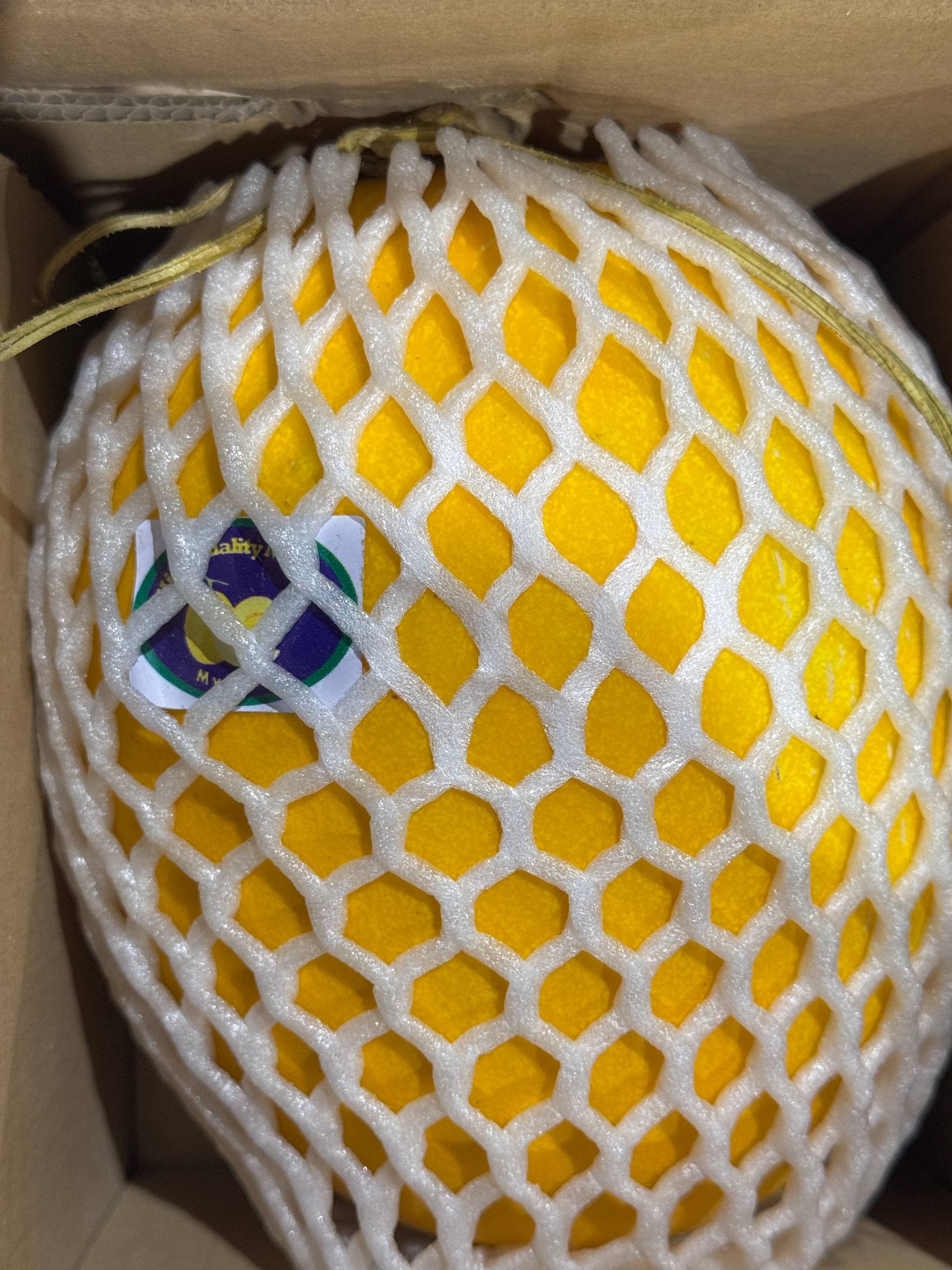 Дыня жёлтая  2