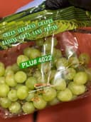 Виноград Томсон 2