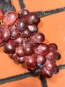 Виноград Крымсон 1