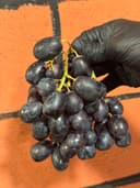 Виноград Атом Роял 1