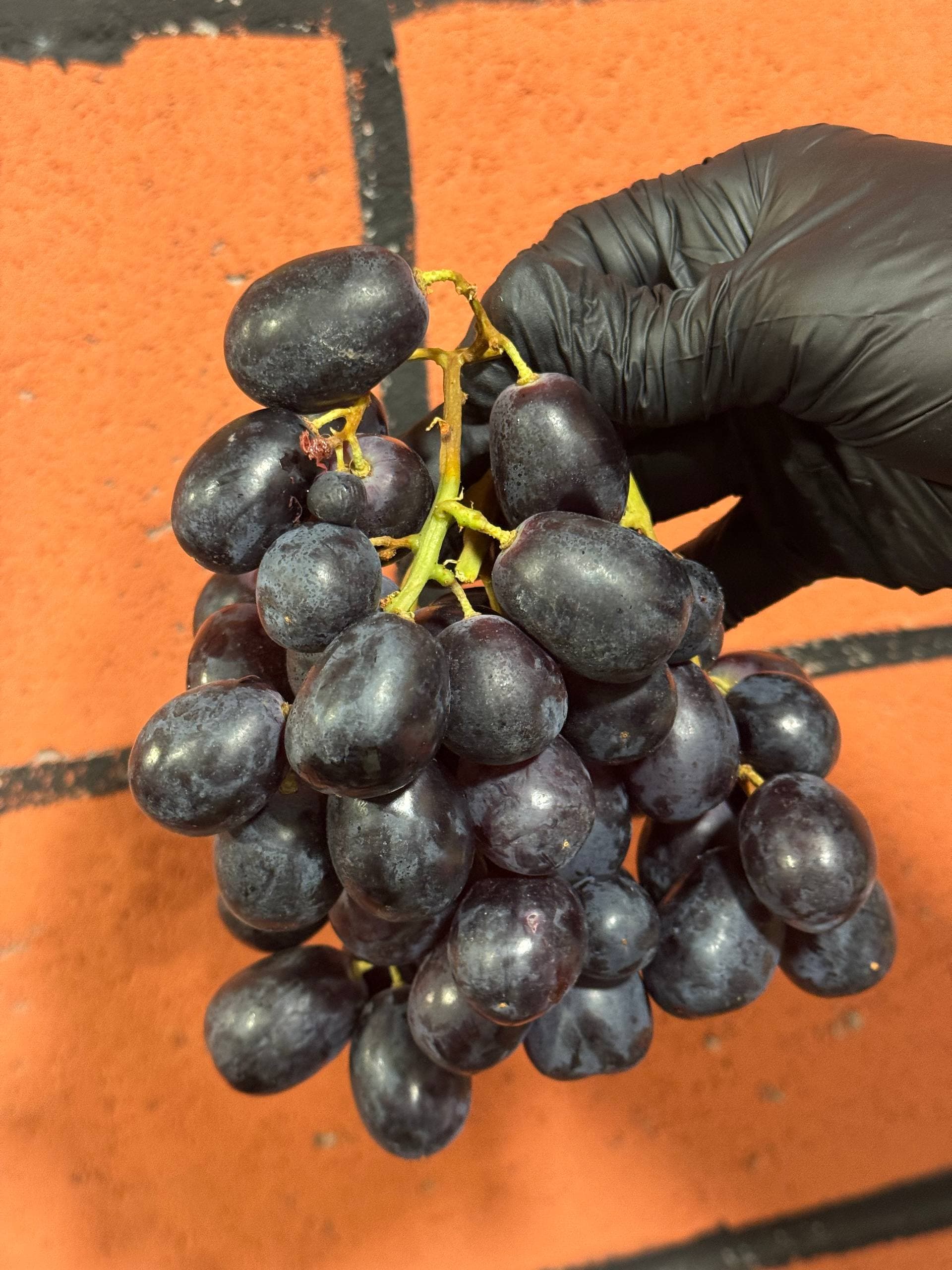 Виноград Атом Роял 1