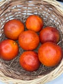 Апельсин Сицилийский 1