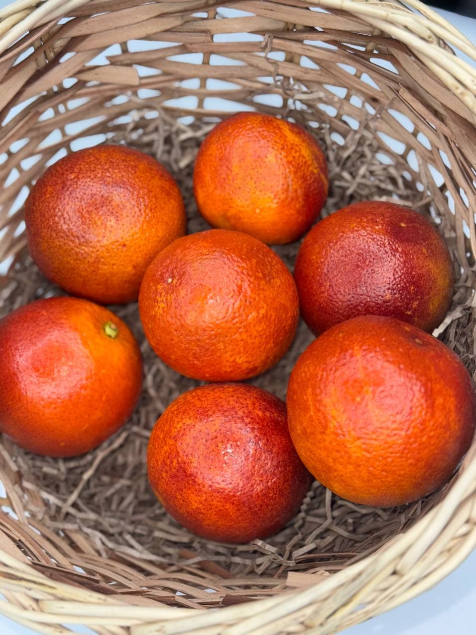 Апельсин Сицилийский 1