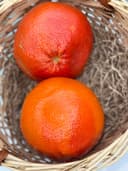 Грейпфрут ЮАР 1