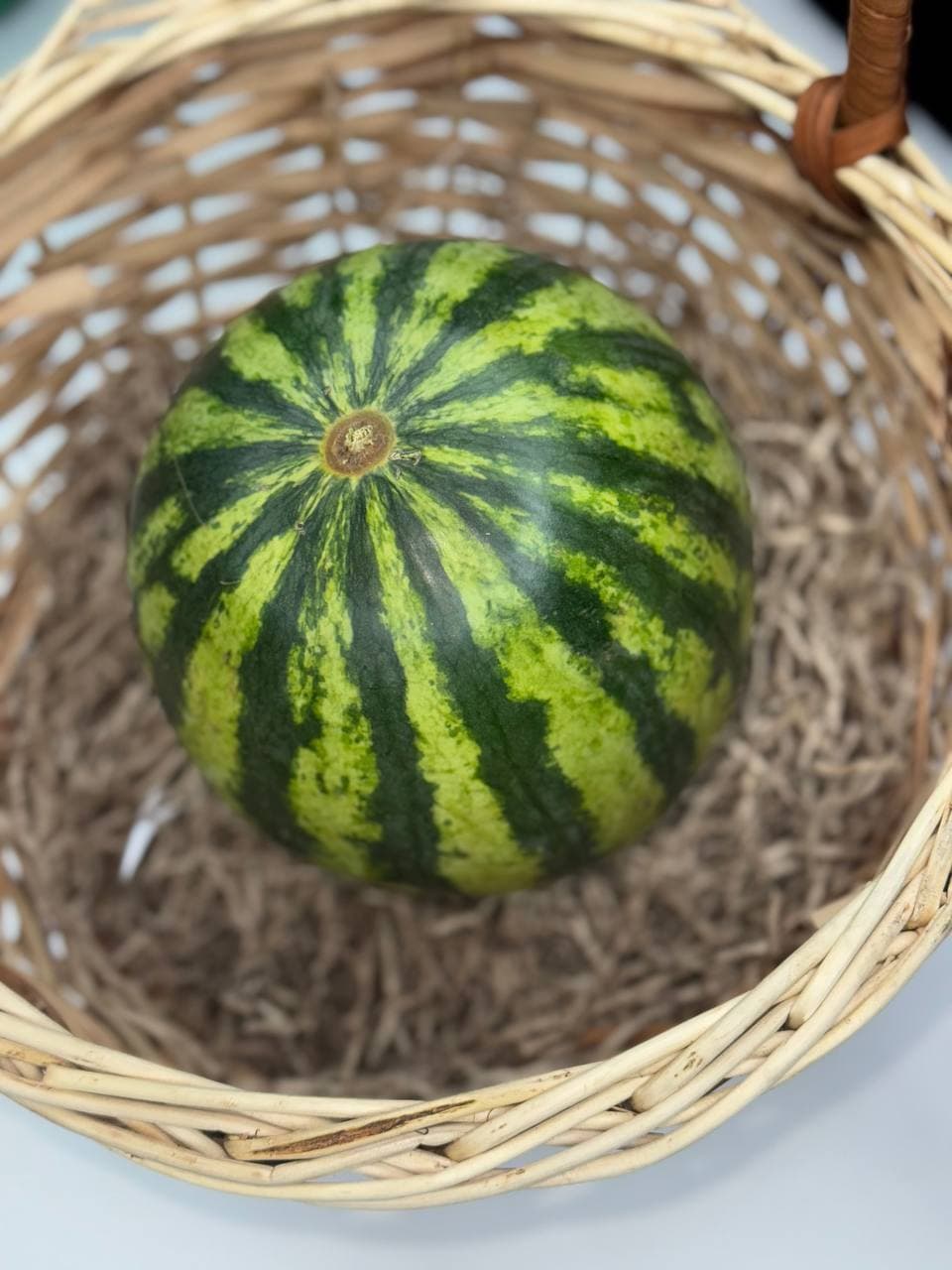 Арбуз Мини 1