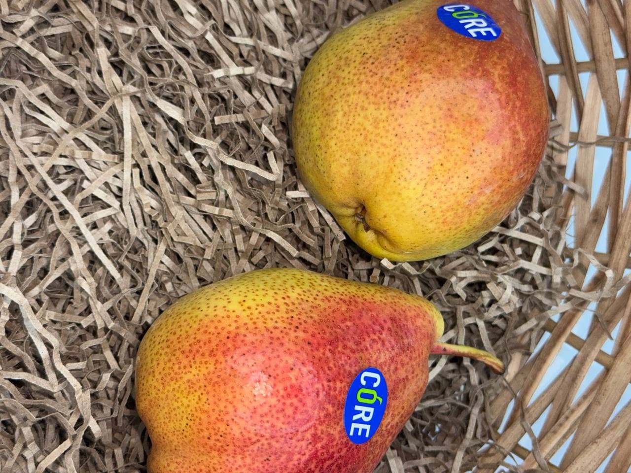 Груша Форель 1