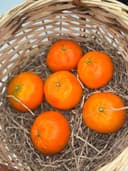 Мандарины Марокко  1