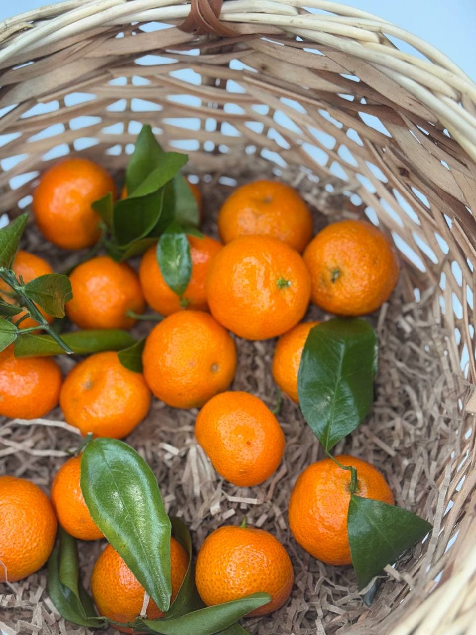 Мандарины Беби 1