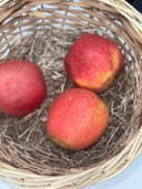 Яблоки Пинк Леди 1