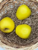 Яблоки Голден 1