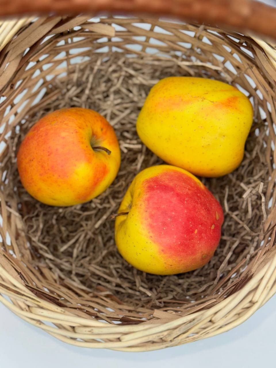 Яблоки Шампань 1