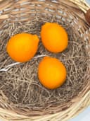 Лимон Узбекистан 1