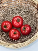 Помидоры Узбекистан 1