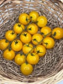 Помидоры Черри жёлтые 1