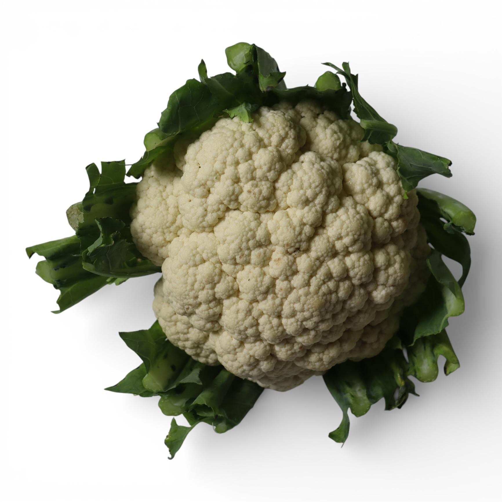 Цветная капуста 1