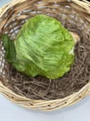 Салат Айсберг 1