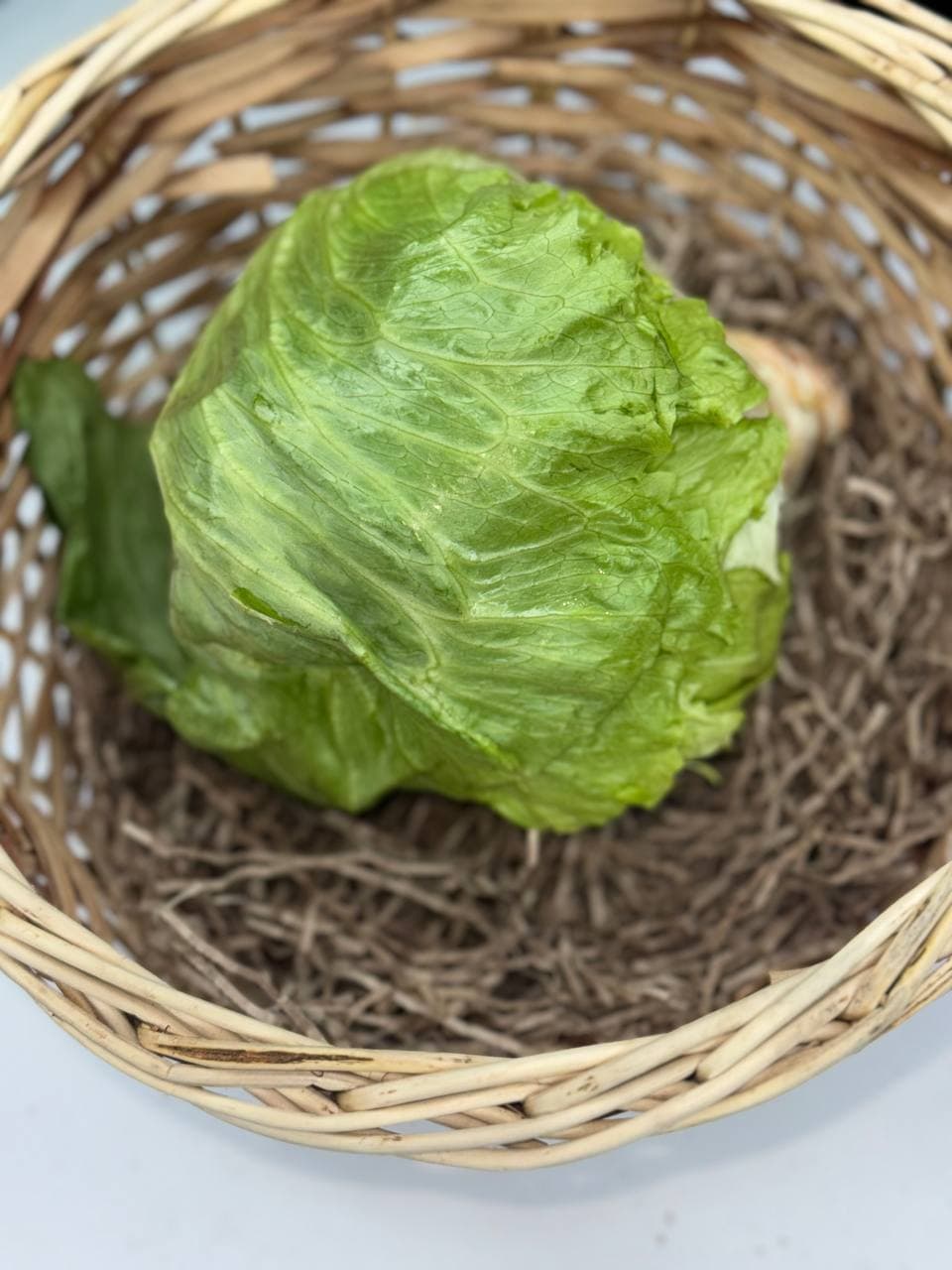 Салат Айсберг 1