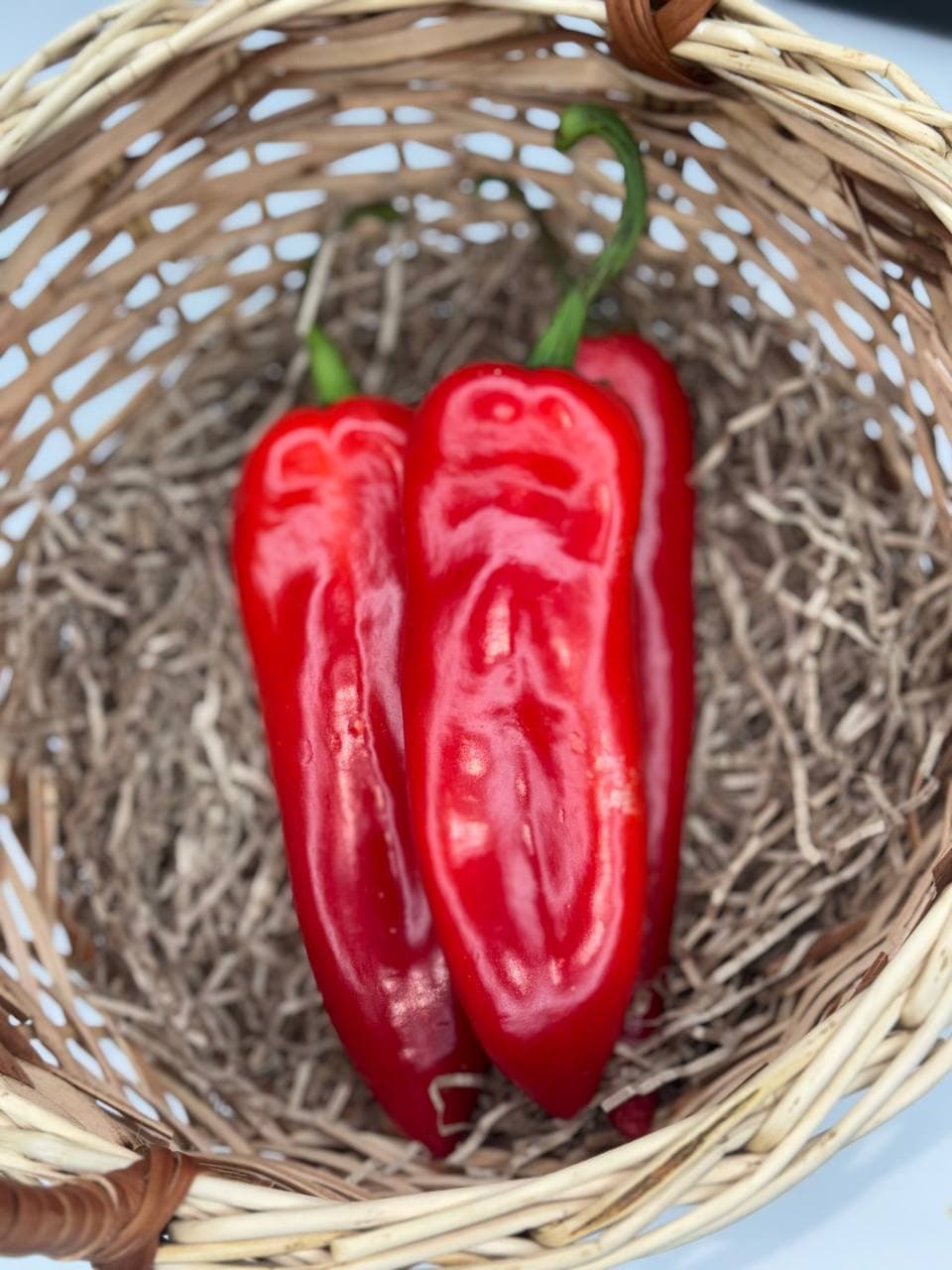 Перец Рамиро 1