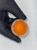 Домашнее яйцо  2