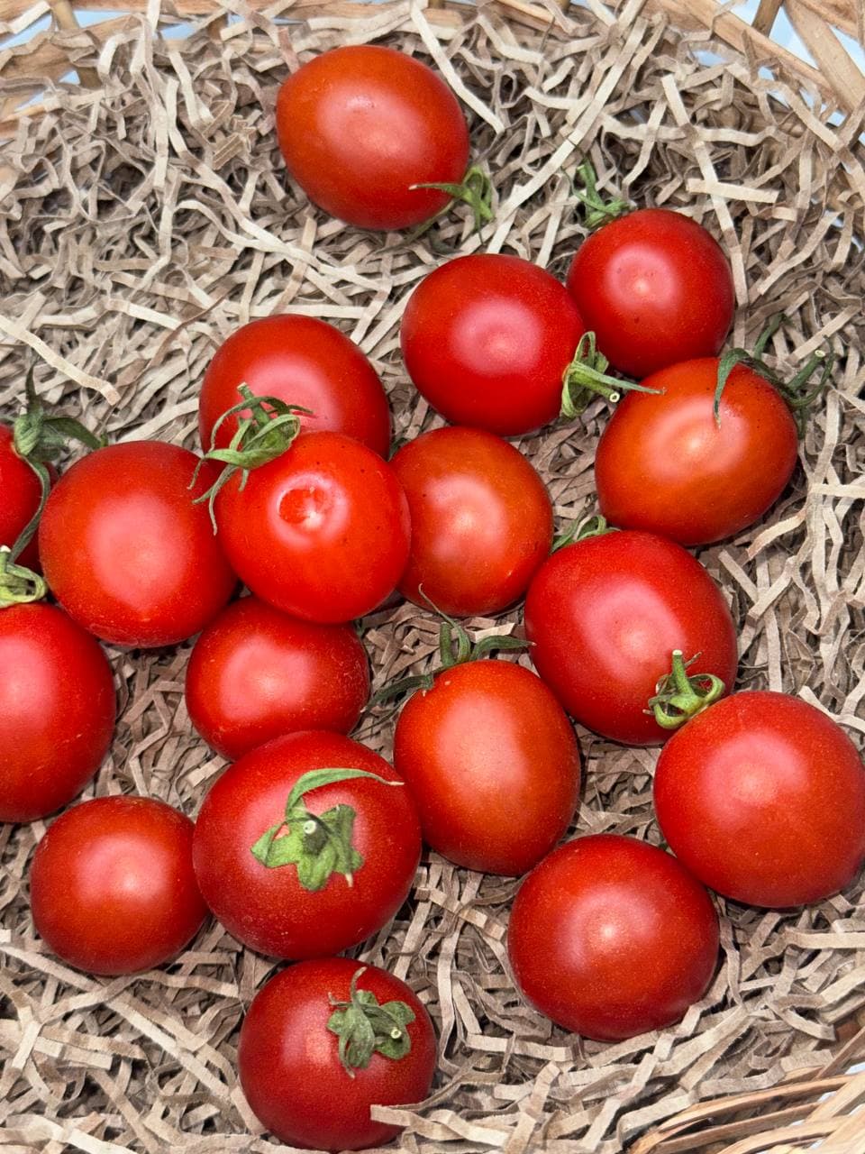 Помидоры Черри красные 1
