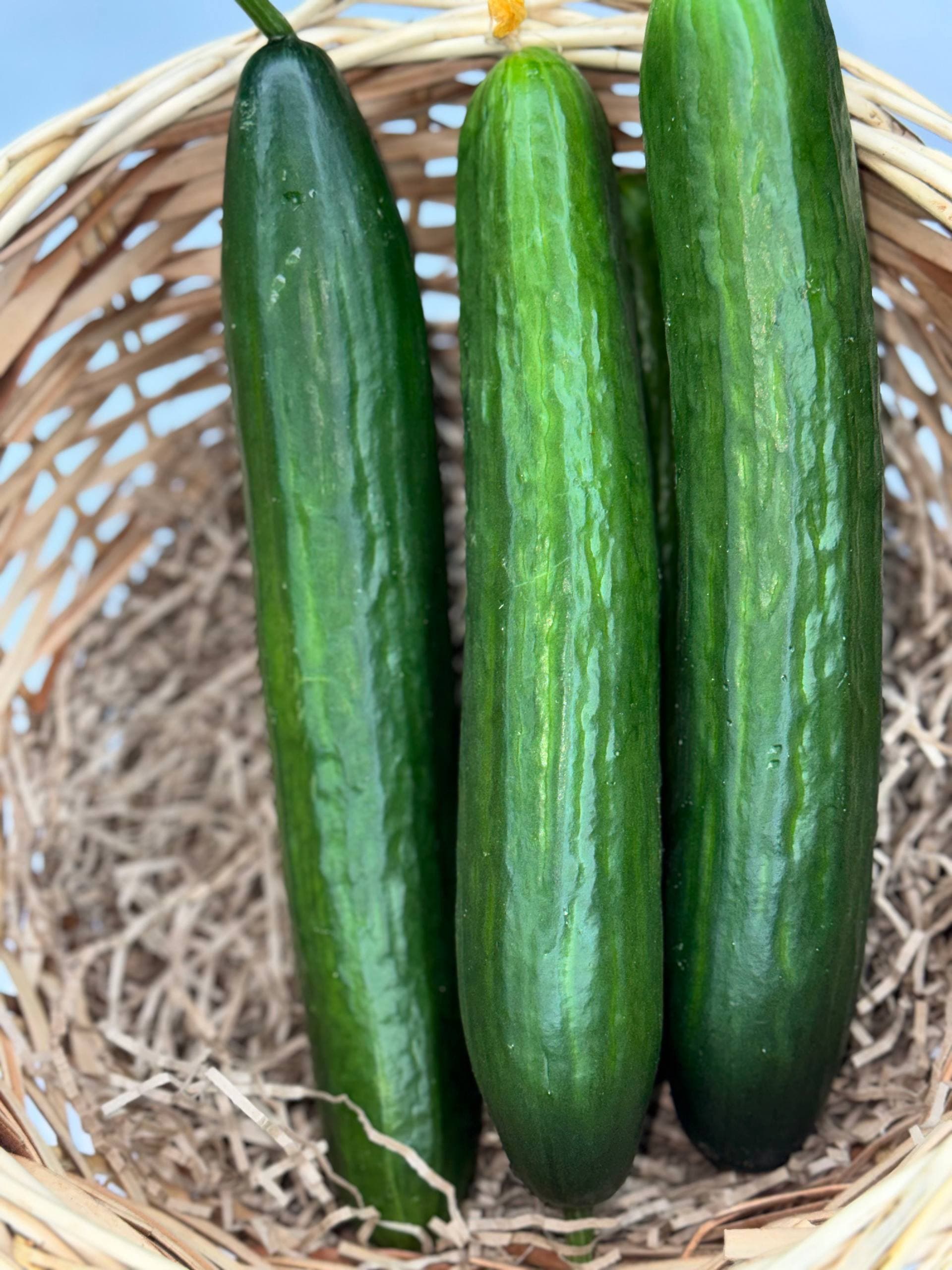 Огурцы длинноплодные  1