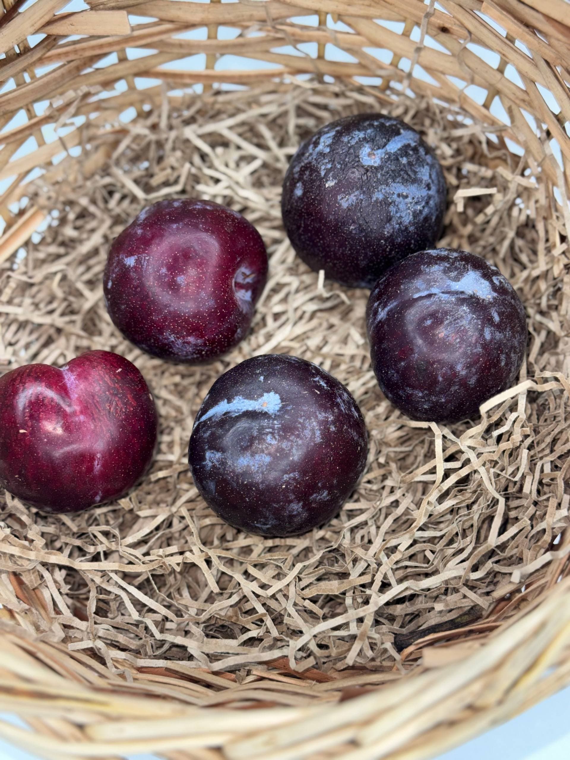 Слива розовая 1